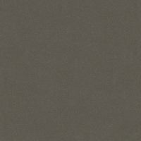 Ral Classe 2 T907 textured